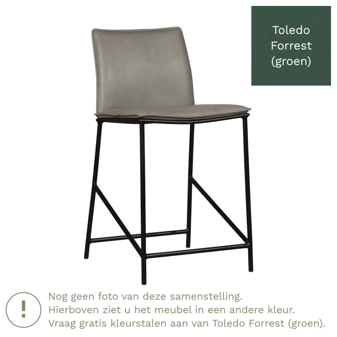 afbeelding van Leren barkruk laag Favor - Toledo Forrest (groen) - poten staal rond zwart